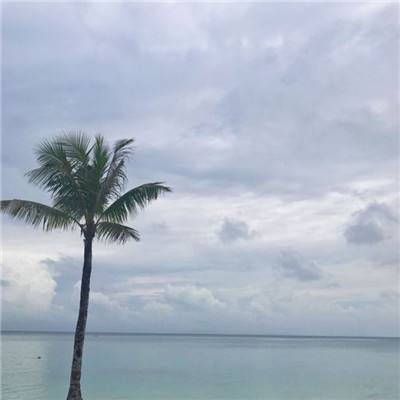 澳门·新甫京娱乐娱城app下载