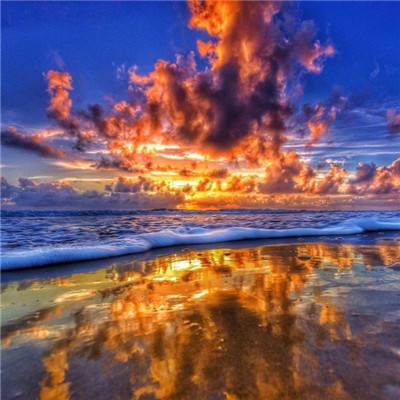 leyu乐鱼·体育app下载