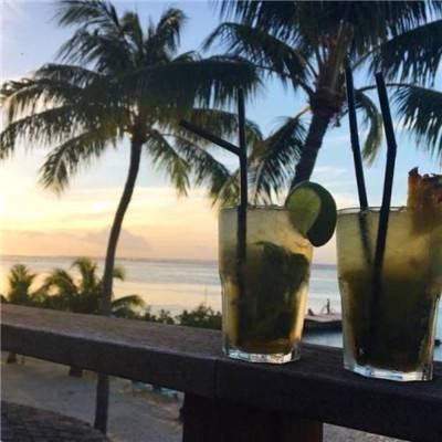 开云·体育(kaiyun)手机app下载