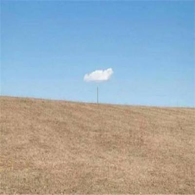 m6米乐官方网站登录入口APP下载